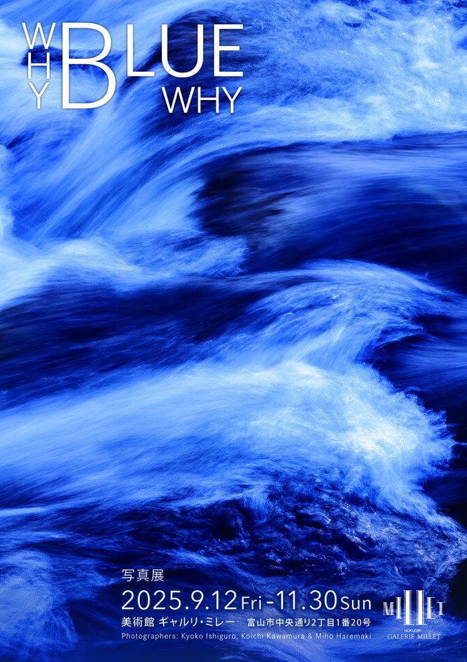 WHY BLUE WHY_omote.jpg